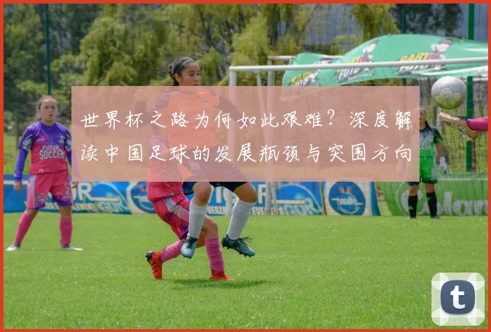 世界杯之路为何如此艰难？深度解读中国足球的发展瓶颈与突围方向