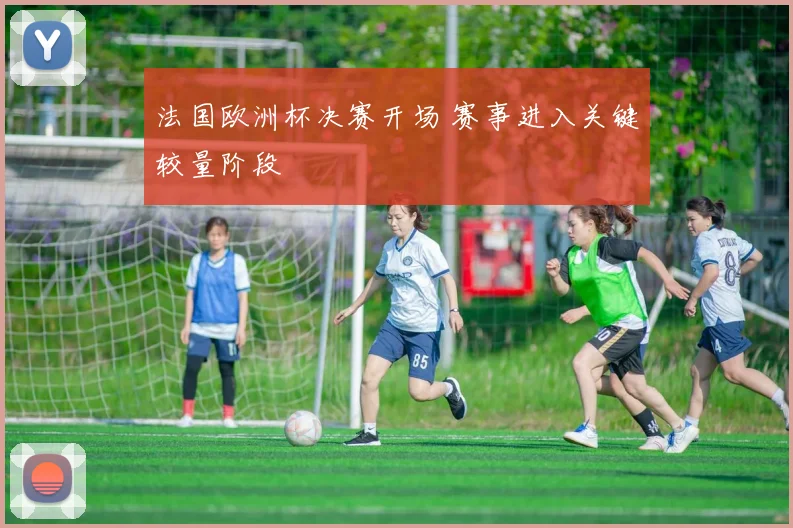 法国欧洲杯决赛开场 赛事进入关键较量阶段