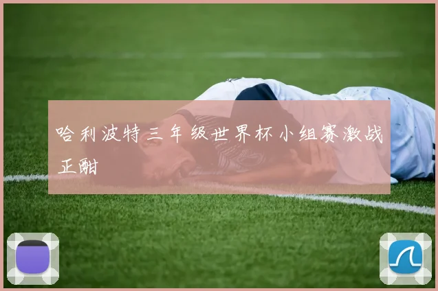 哈利波特三年级世界杯小组赛激战正酣